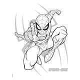 Deltas marvel spider-man farveblok