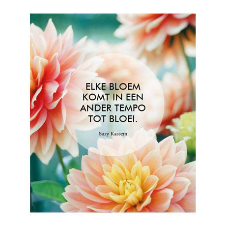 Deltas tror på dig selv! - 52 inspirationskort