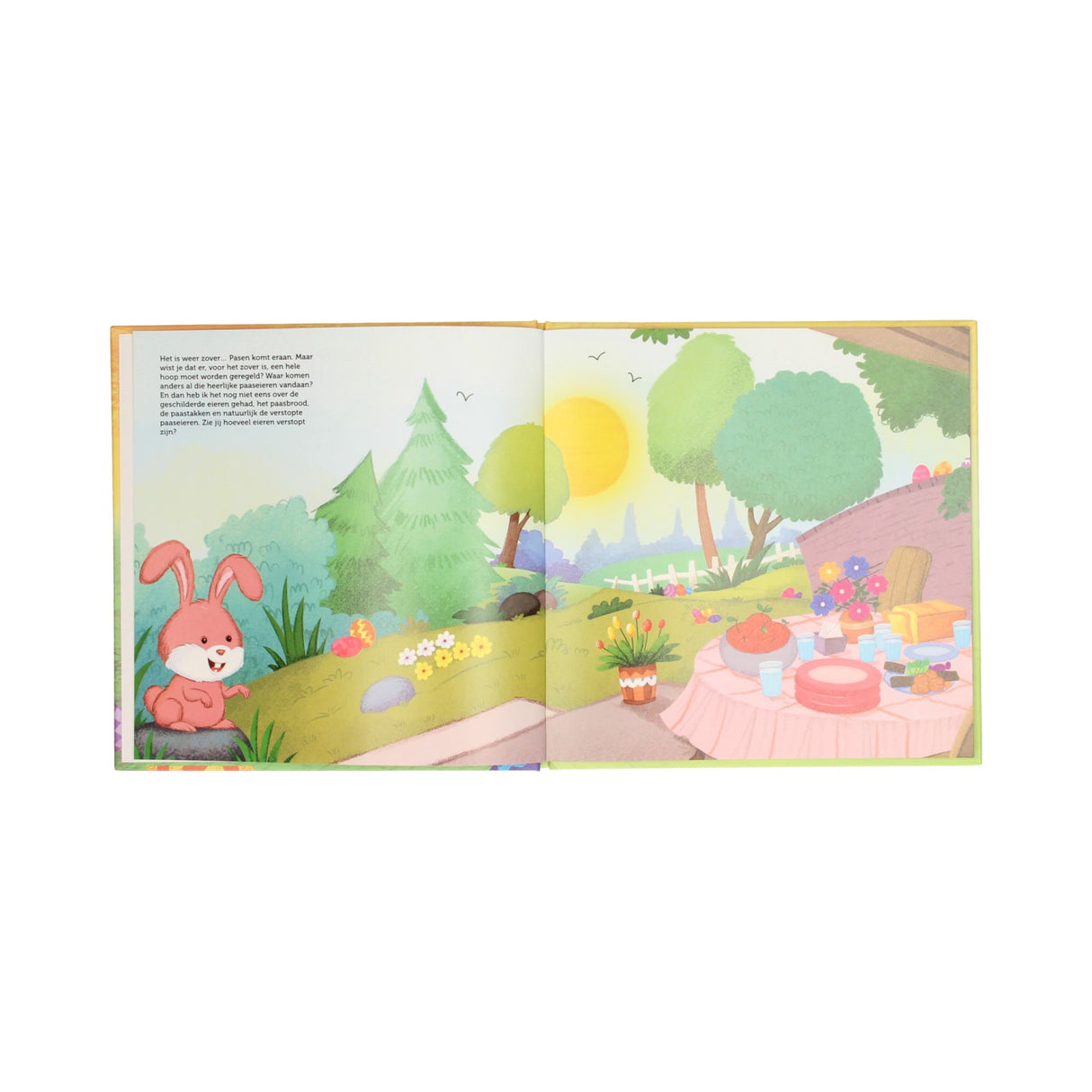 Vinder holland storybook påskeharen og kyllingen