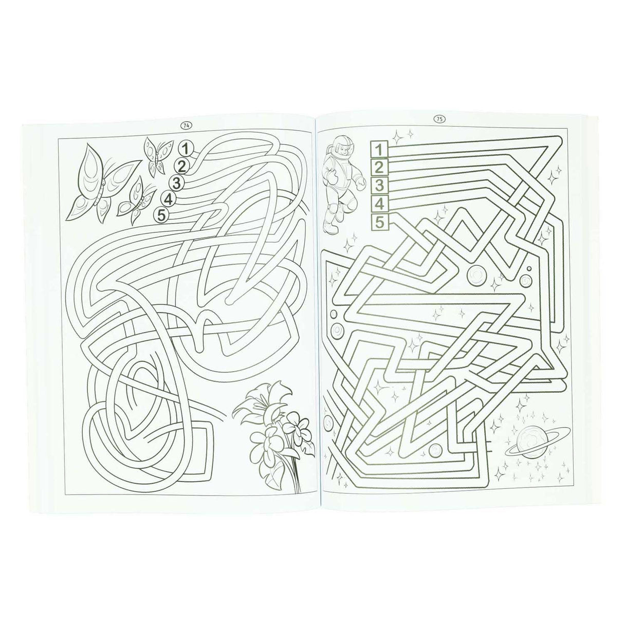 Vinder holland labyrint bog - 115 labyrinter