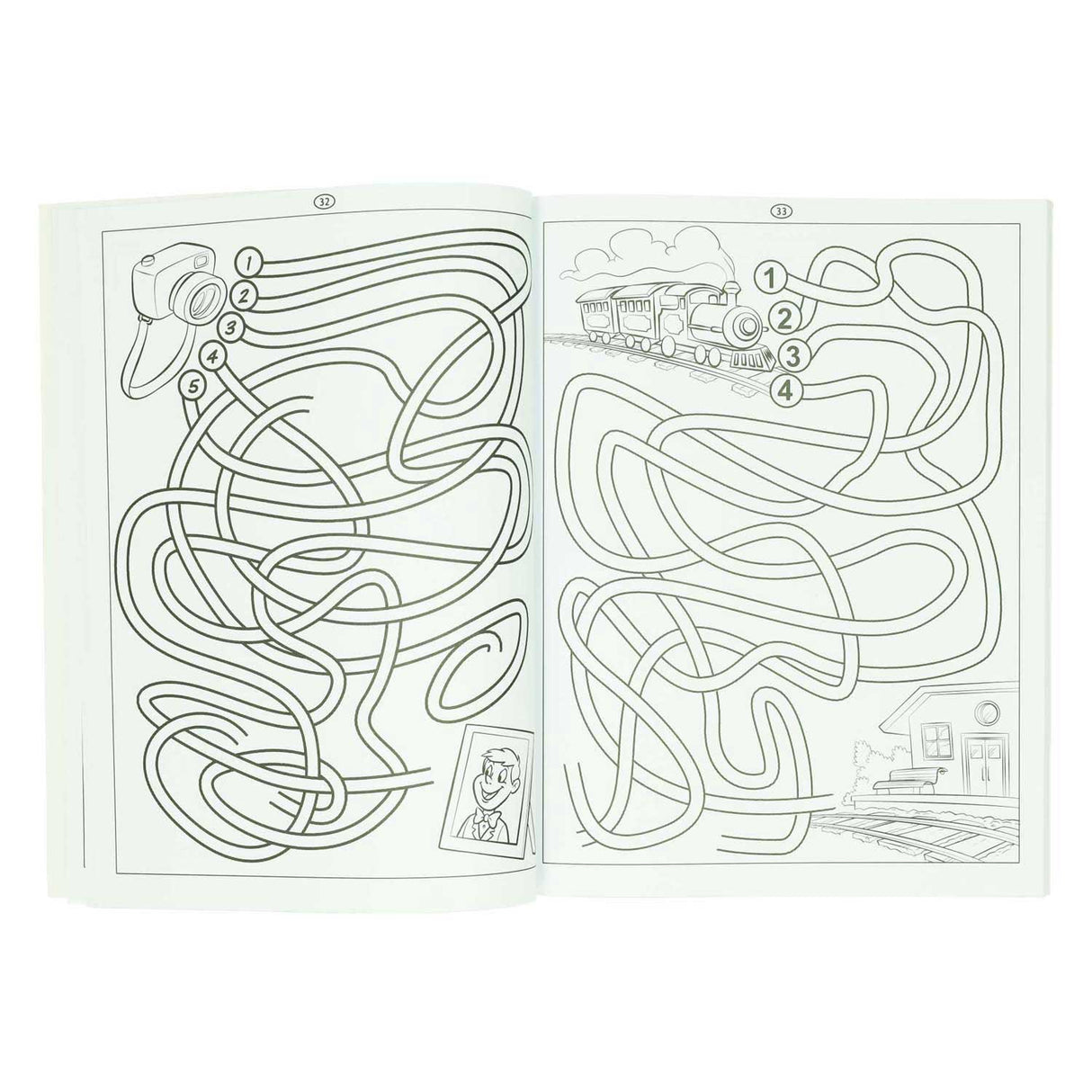 Vinder holland labyrint bog - 115 labyrinter
