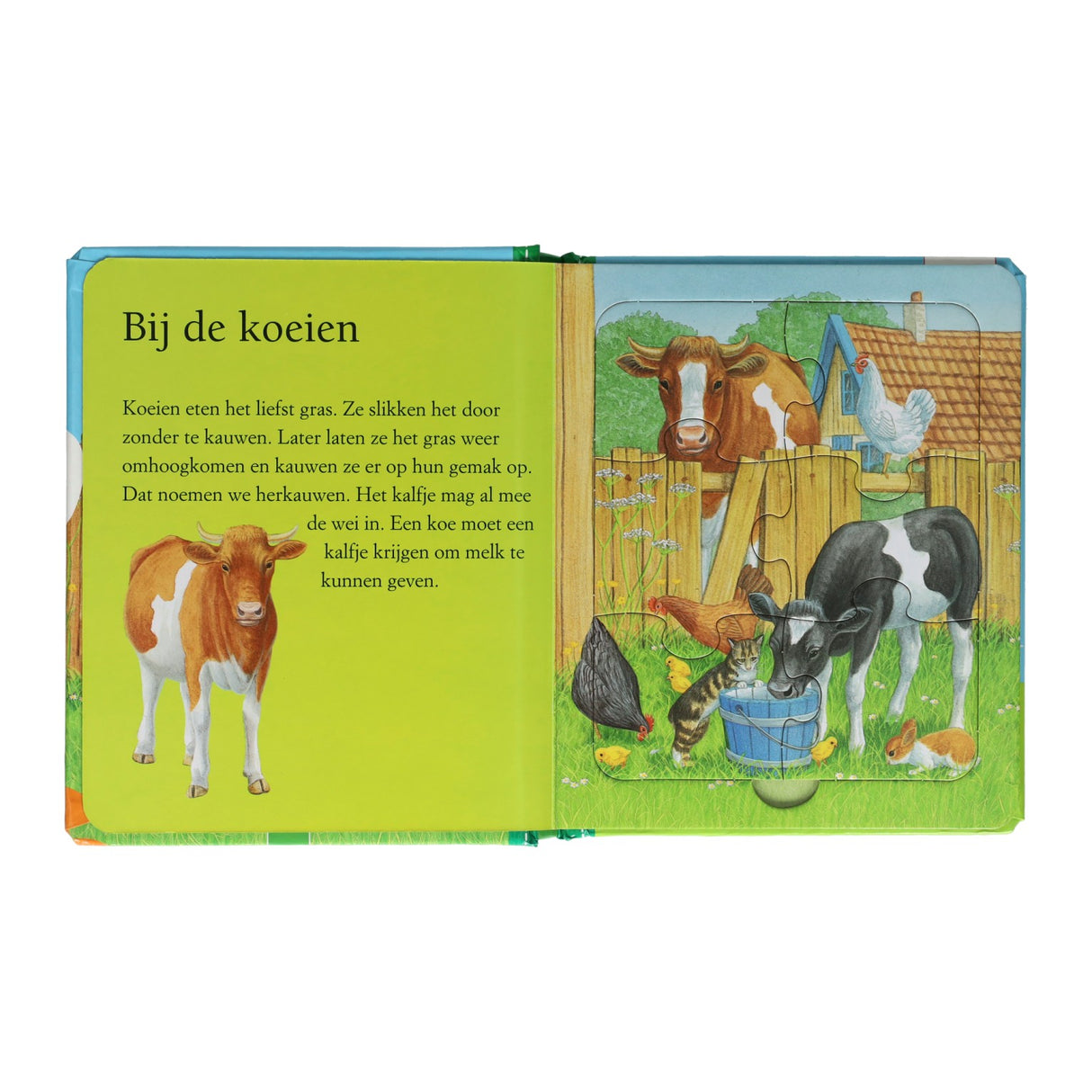 Vinder Holland puslespil bog farm