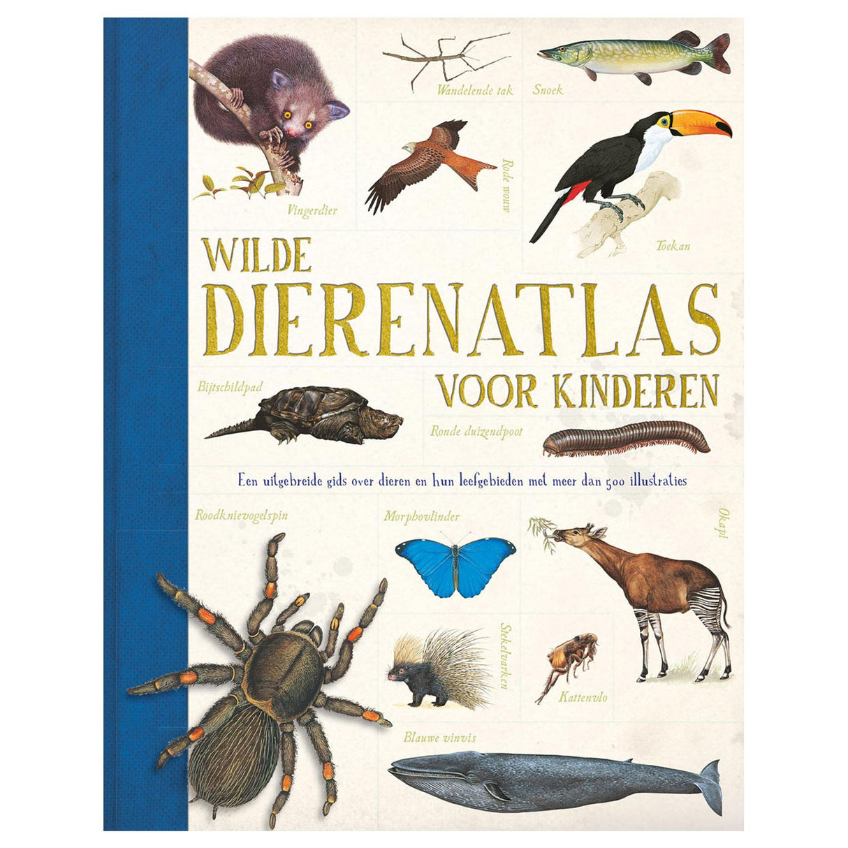 Rebo udgiver vilde dyreatlas for børn. 6+