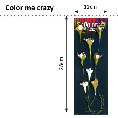 Petaloo • color me crazy blomstrende vinspray