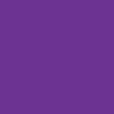 Ranger ink ranger • dylusions ink spray knust drue 59ml