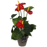 Edelman kunstig plante anthurium rød i potte
