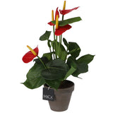 Edelman kunstig plante anthurium rød i potte