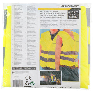 Dunlop | 12 stk