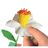 Clementoni skab dine blomster - narcisser