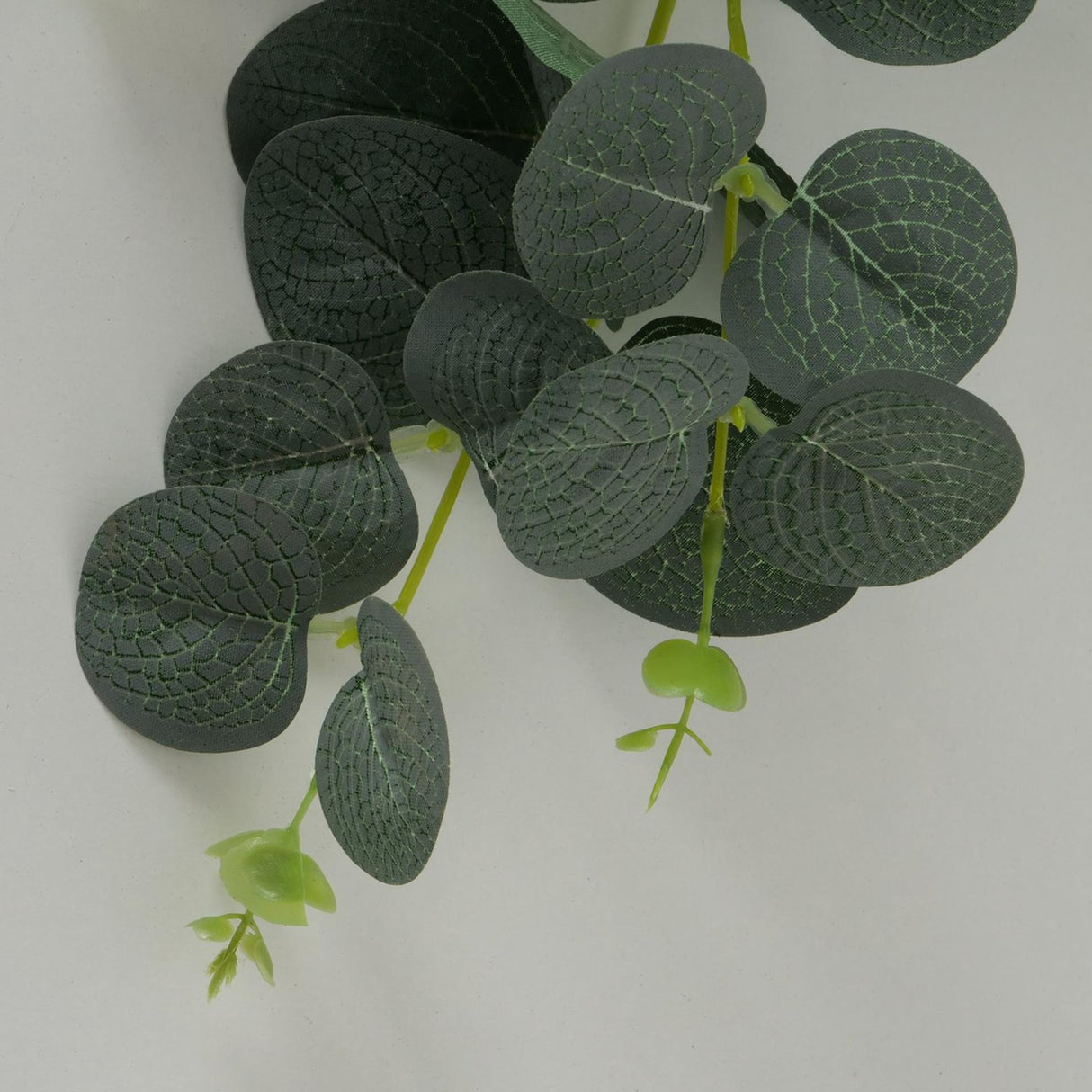 Boltze hjemmeplantekirlande eukalyptus l75cm
