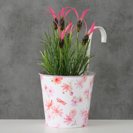 Boltze hjemmehængende urtepotte rosella ø13xh24cm