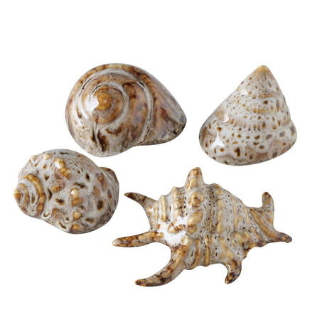 Boltze home decoratieve schelp 7x6x4cm beige bruin 4 assorti