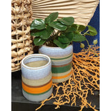 Hbx naturlig levende vase bomba ø11xh13cm urtepotte bomba ø11xh13cm