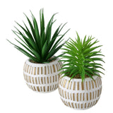 Boltze home kunstig plante sukkulent plante plast 9x9x13,3cm 2 assorteret