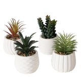 Boltze hjemme kunstig plante yucatan h14cm