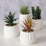 Boltze hjemme kunstig plante yucatan h14cm