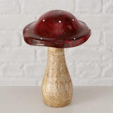 Boltze hjemmesvamp pilo mangotræ 10x10x14,5cm