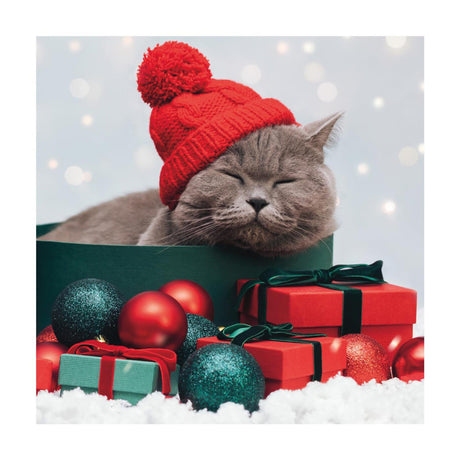 Duni servietter purrfect gaver 33x33cm