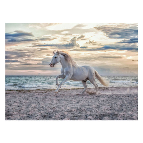 Ravensburger puslespil hest strand - 500 brikker puslespil dyr.