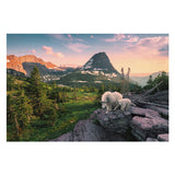 Ravensburger puslespil alpin ged med unge - puslespil - 3000 brikker