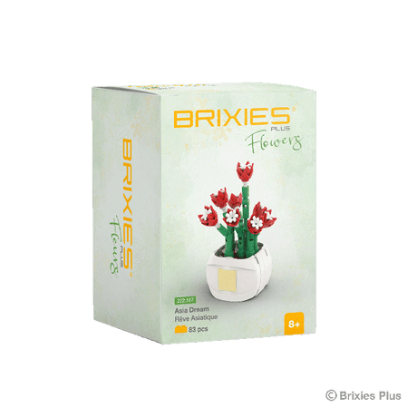 Oku brixies plus flower asia dream bouwsteentjes