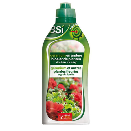 Bsi geranium og andre blomstrende planter