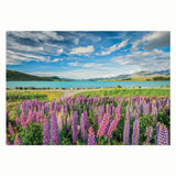 Clementoni puslespil blomster ved tekapo-søen, 1500 stk.