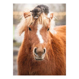 Ravensburger – pony og kat – puslespil – 500 brikker
