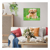 Ravensburger – golden retriever brødrene – puslespil – 500 brikker