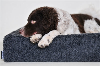 Bia seng fleecebetræk hundekurv grå