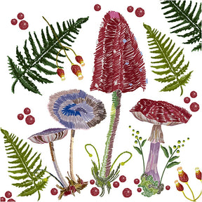Https: www.cchobby.nl servietter-størrelse-33x33-cm-20-piece-1-box-234749