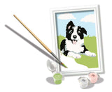 Ravensburger Creart maleri på nummer Border Collie