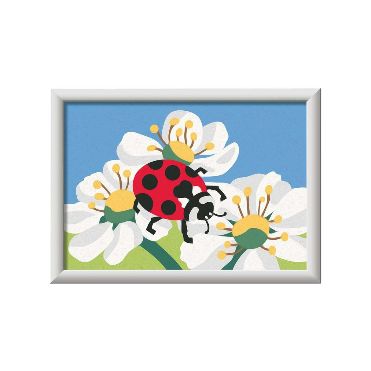Ravensburger skabende mariehøne