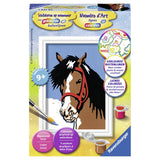 Ravensburger maling efter nummer hestelook - hobbypakke