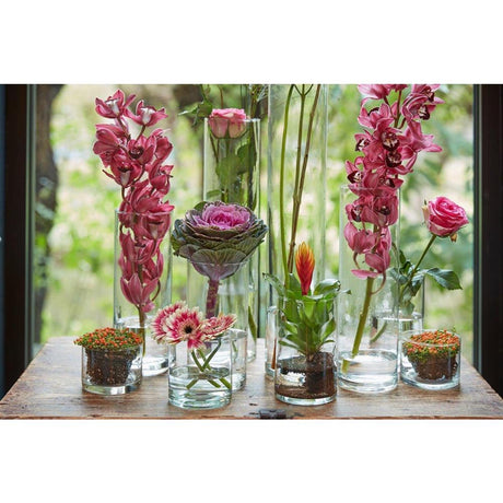 B-living cylinder vase glas ã˜9xh19cm