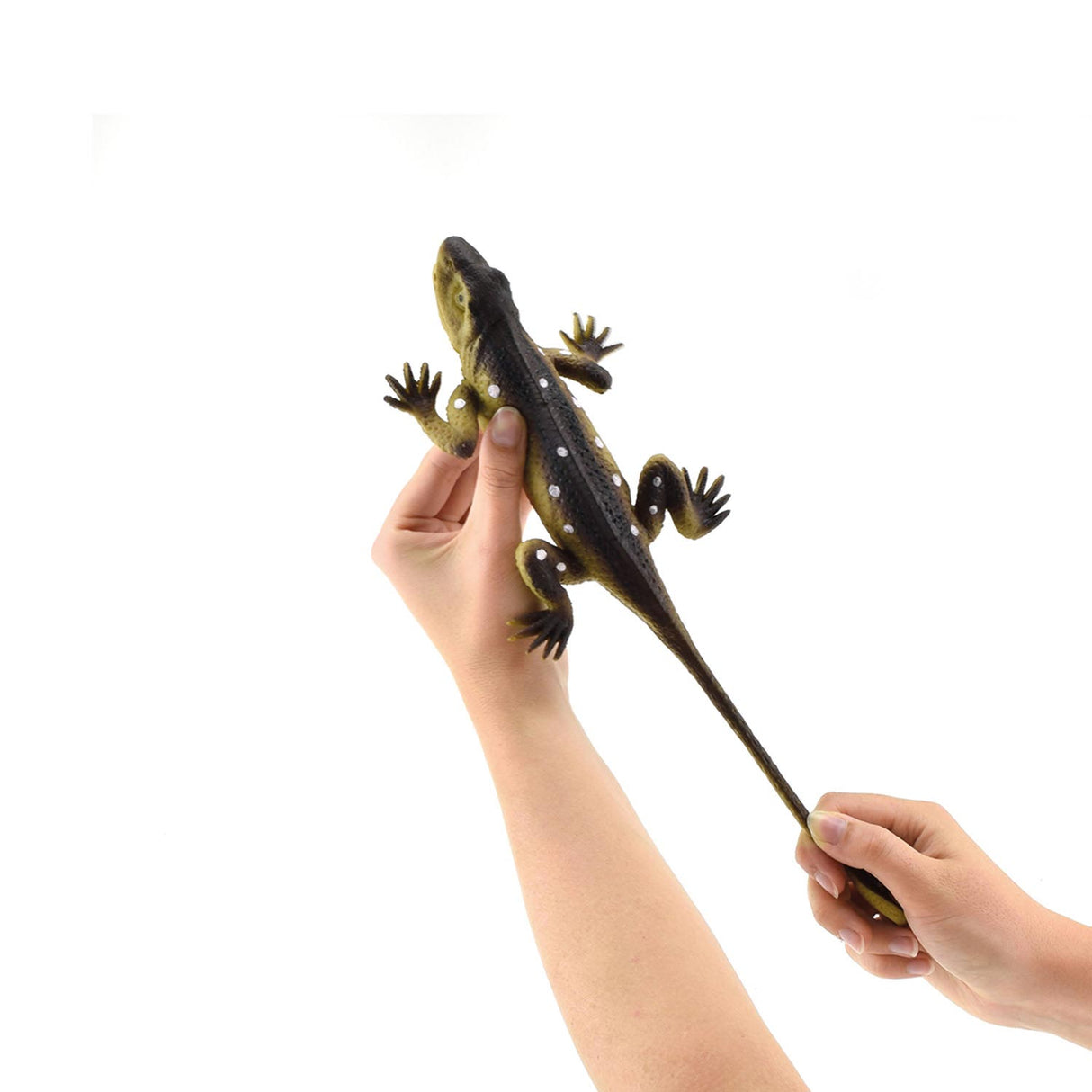Toi-toys reptile lifelike on card