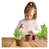 Kidscovery science urtehave