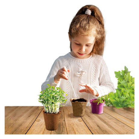 Kidscovery science urtehave