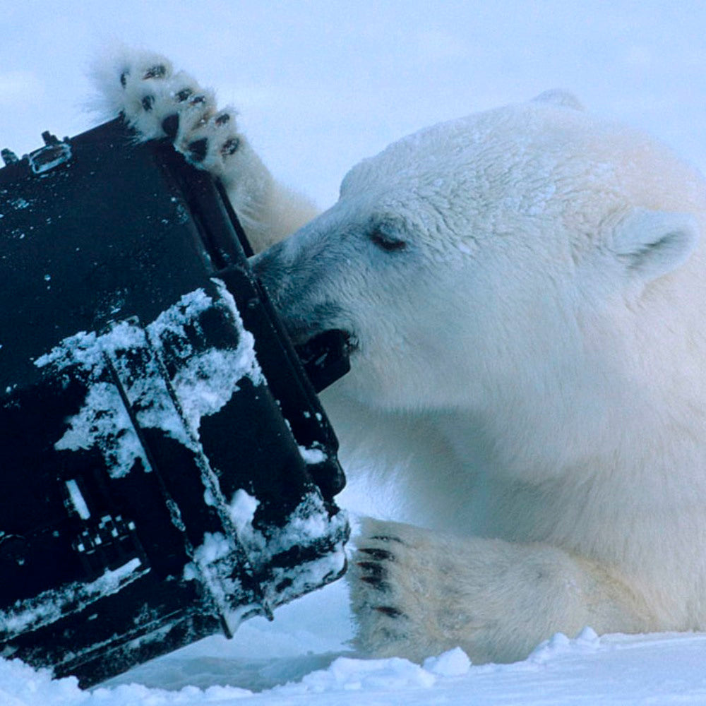 Explorer sager 1913 kuffert sort med pluk skum