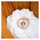 Trixie Wood Rattle omkring Mr. Monkey
