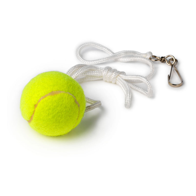 Taktik Bex SunSport Tennis Pole med 2 ketsjere
