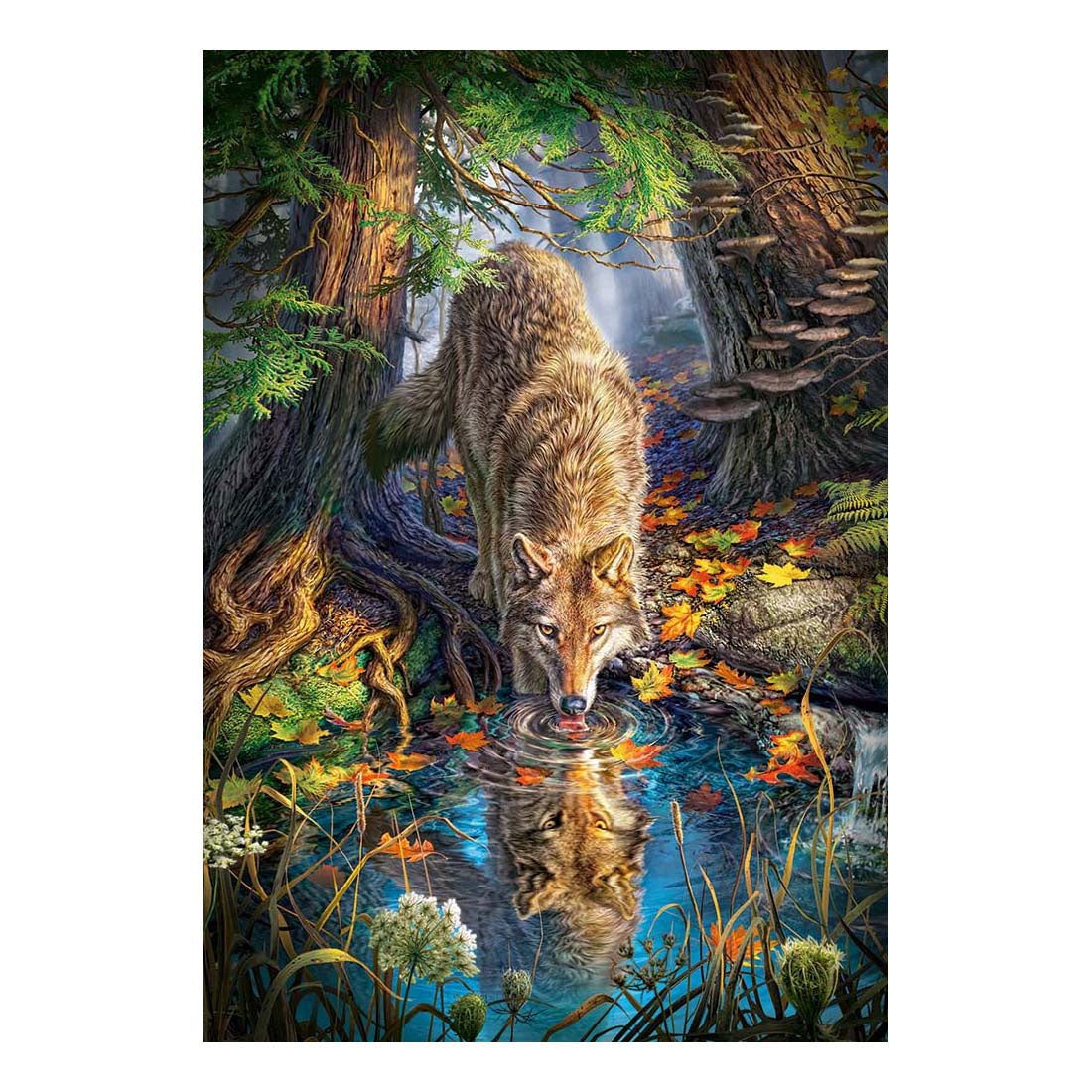Castorland wolf in the wild – puslespil – 1.500 brikker – satin finish – perfekt pasform – europæisk kvalitet