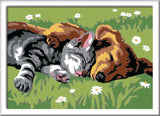 Ravensburger creart sovende katte og hunde - mal efter tal til børn