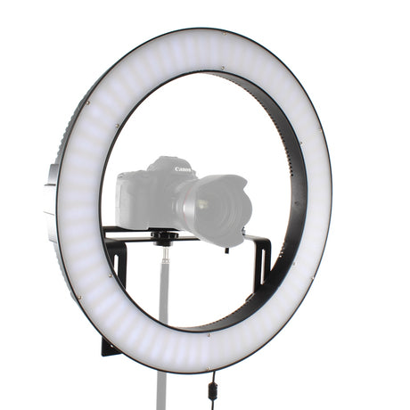 Falcon eyes tofarvet LED ringlampe dæmpbar DVR-512DVC på 230V