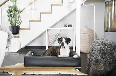Bia sengehundekurv original sort