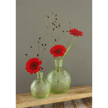 Idéer 4 sæsoner vase bologna grøn ø9,5xh12cm.
