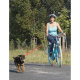 Messing springer hundecykel beslag