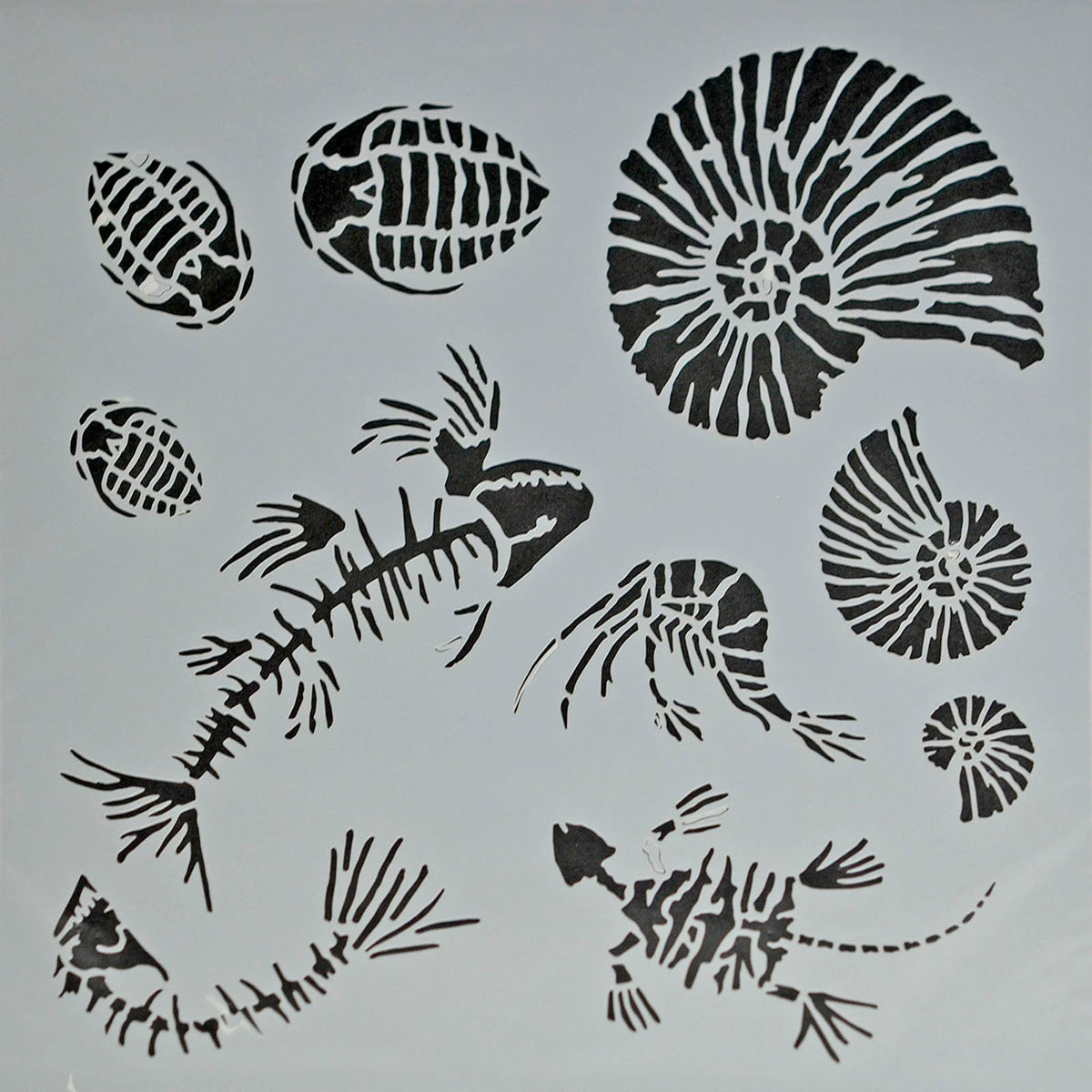 Powertex • stencil fossiliseret