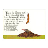 Central boghus om en lille muldvarp... papbog