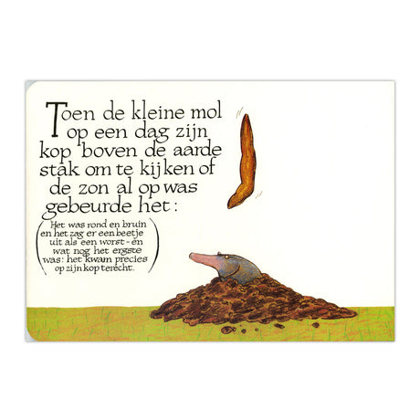 Central boghus om en lille muldvarp... papbog